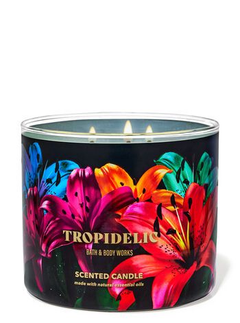 Tropidelic


3-Wick Candle | Bath & Body Works