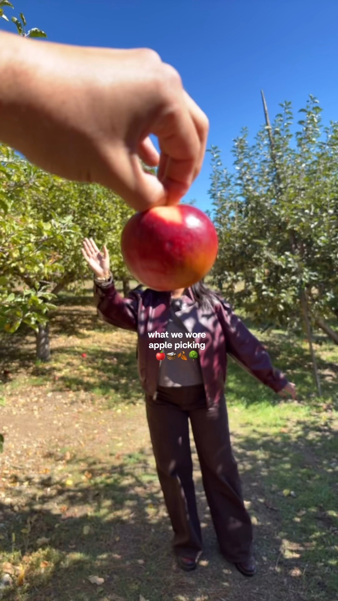 the whole family went Apple picking and got to take some cute fall family photos! these were our cozy fall outfits 🍂🍎🧺

#LTKBaby #LTKSeasonal #LTKFamily