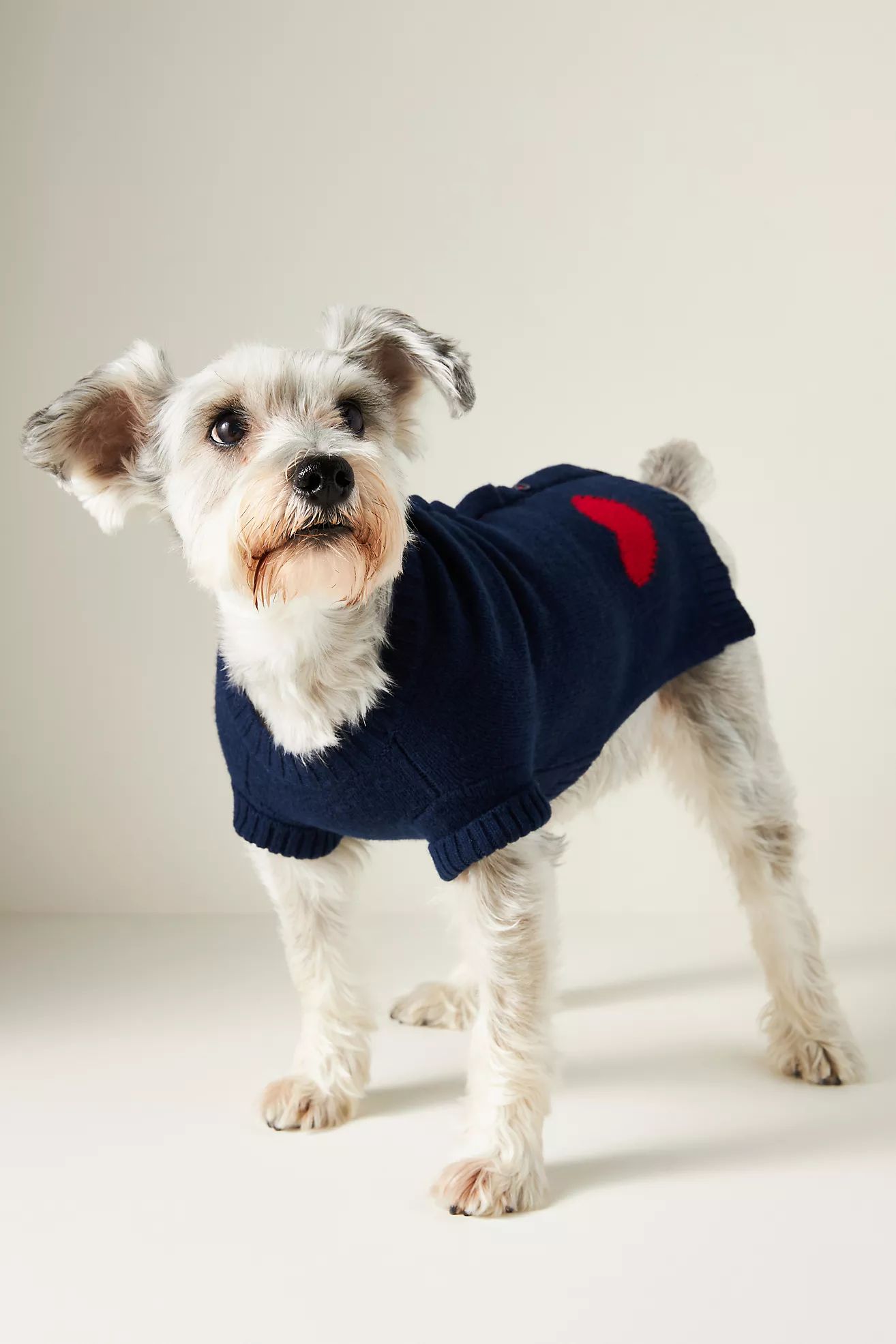 WARE of the DOG Heart Dog Sweater | Anthropologie (US)