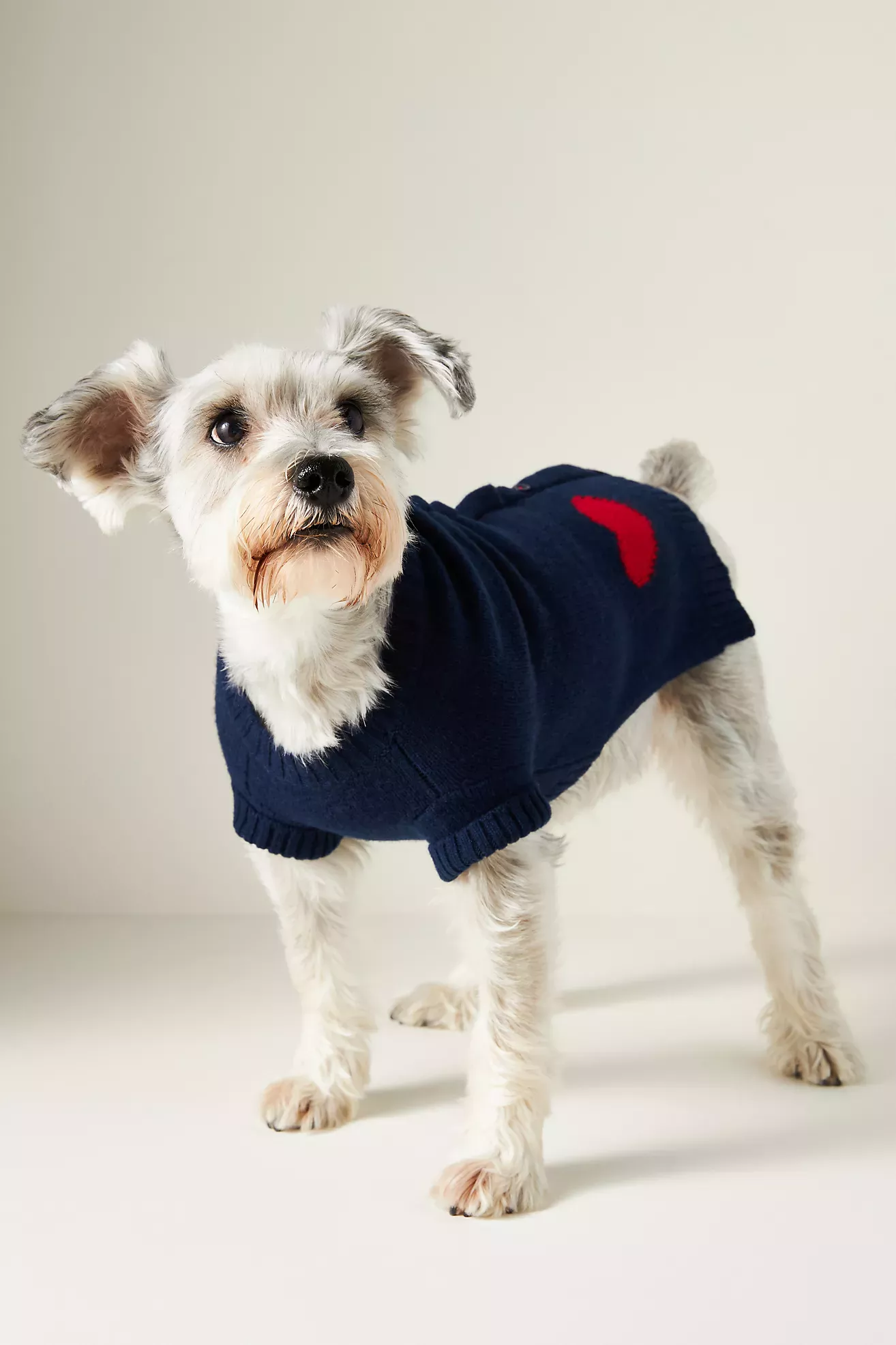 Ralph lauren dog on sale coats