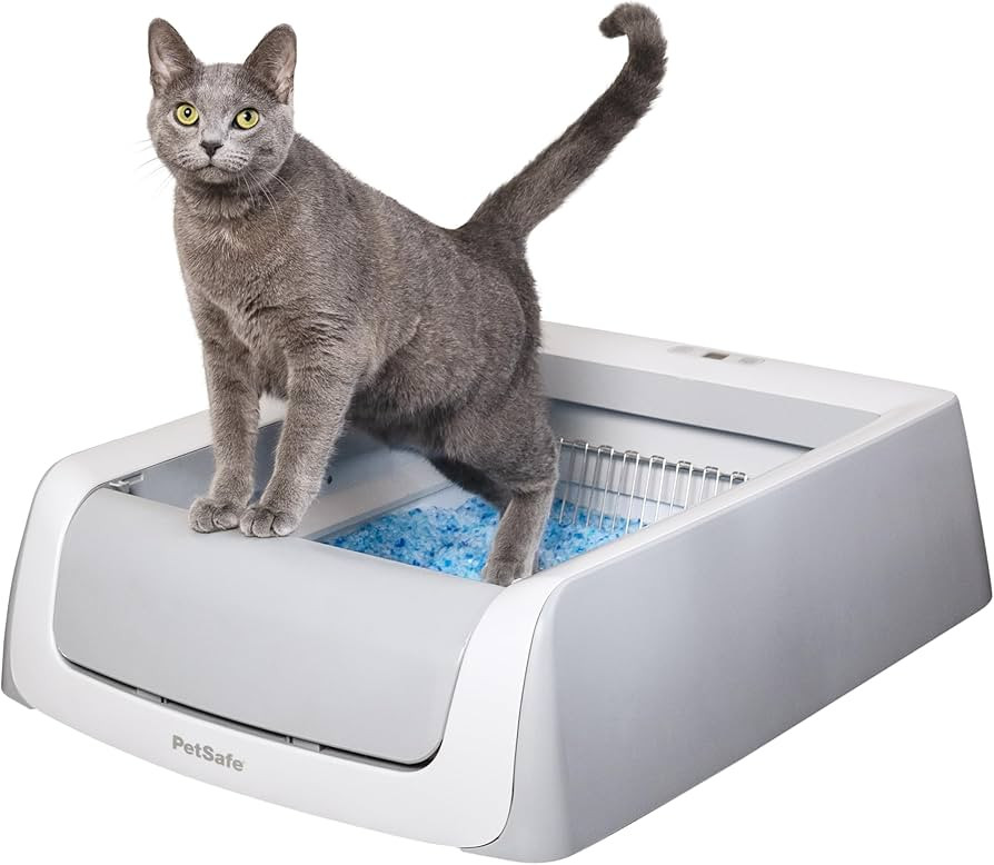 PetSafe ScoopFree Crystal Pro Legacy Self-Cleaning Automatic Litter Box - Uncovered Motion-Sensin... | Amazon (US)