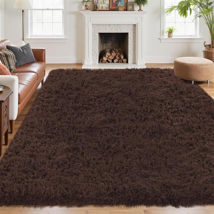 5x7 Area Rug for Living Room: Ultra Soft Fluffy Rug Modern Large Thicked Shag Rug for Bedroom Non... | Amazon (US)