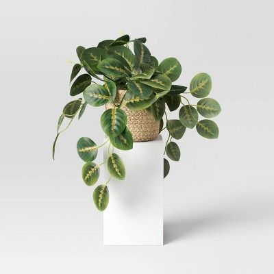 Artificial Trailing Prayer Plant Basket - Threshold™ | Target