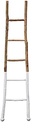Creative Co-op Dipped Decorative Wood Ladder, White | Amazon (US)