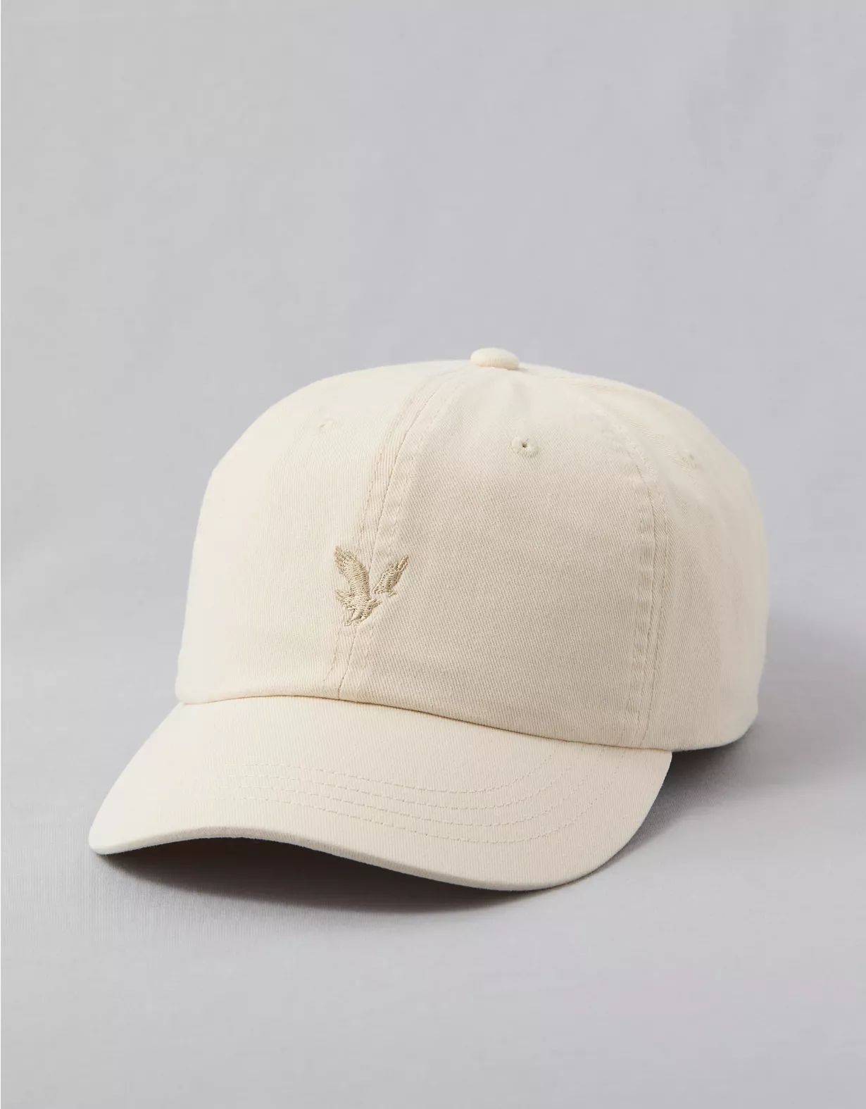 AE Baseball Hat | American Eagle Outfitters (US & CA)