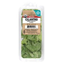 Cilantro, bunch | Walmart Online Grocery