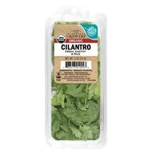 Cilantro, bunch | Walmart Online Grocery