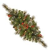 National Tree Company Artificial Christmas Centerpiece | Flocked with Mixed Decorations and LED Ligh | Amazon (US)