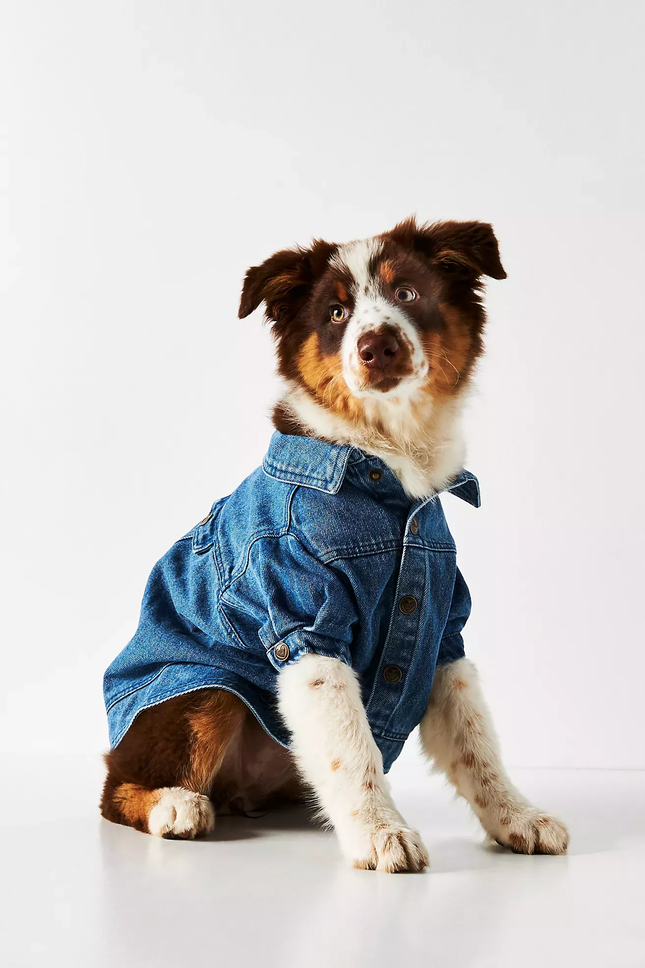 Dog hot sale jean jacket