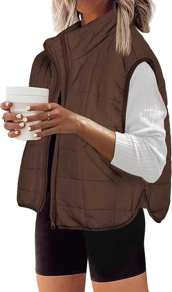Zeagoo Womens Puffer Vest Ladies Sleeveless Zip Up Outerwear Warm Puffer Lightweight Down all Win... | Amazon (US)