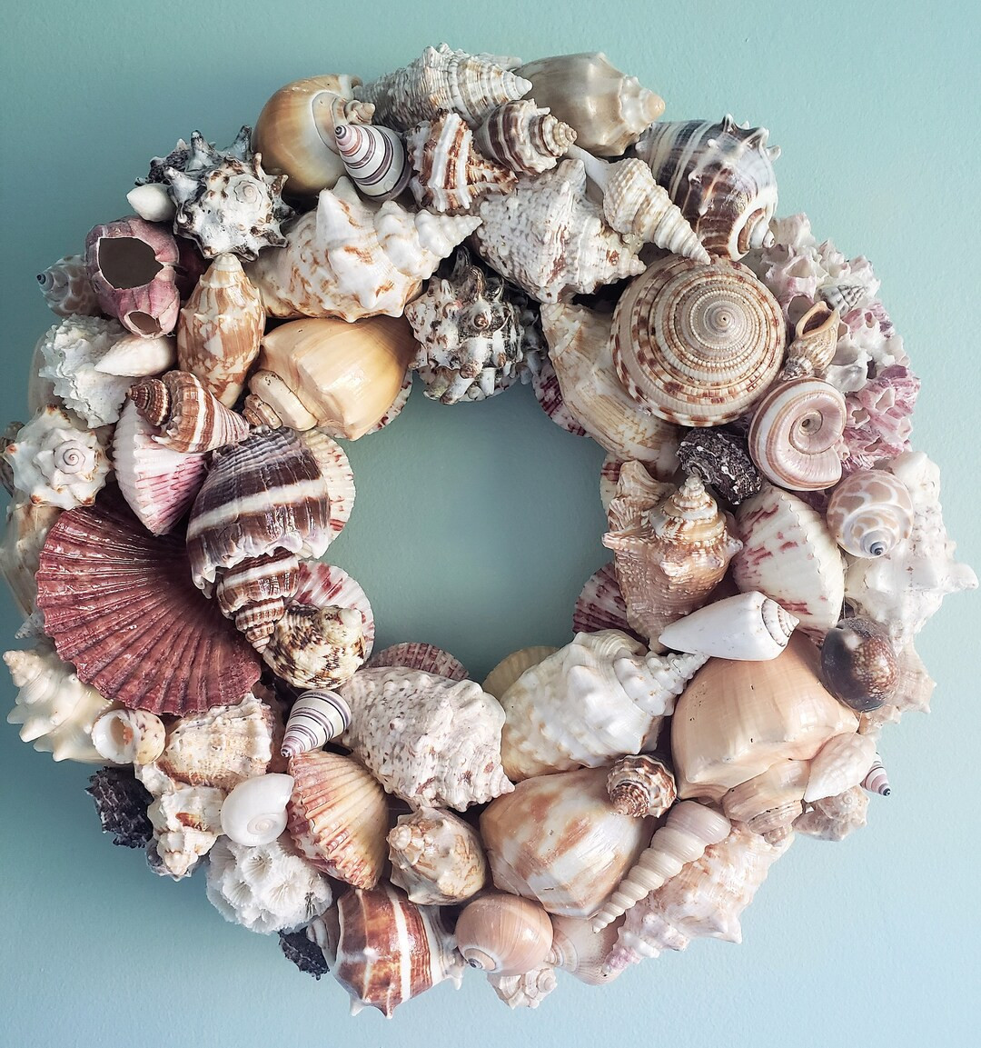 Shell Wreath Mounted on Solid Wood Base 12 Round Gorgeous With Close to 100 Shells With Free Ship... | Etsy (US)