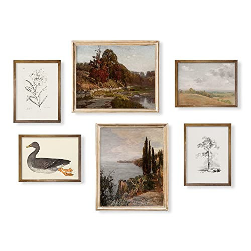 Rustic Modern Farmhouse Wall Art Decor - French Country Kitchen Print Poster - Boho Victoria Landscape Pictures Bathroom - Aesthetic Vintage CottageCore - Neutral Brown Fall Autumn Nature Duck Drawing | Amazon (US)