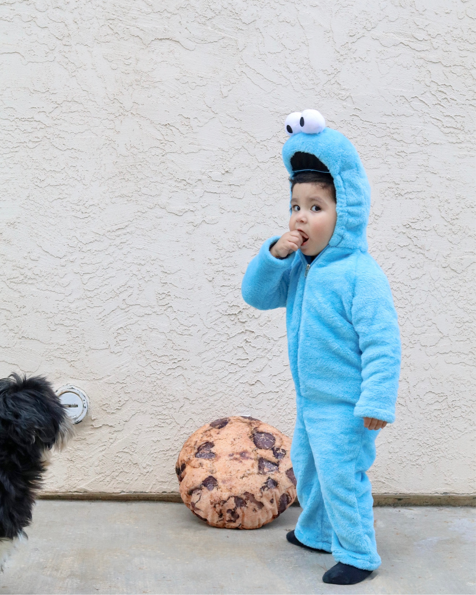 toddler costume idea, cookie monster costume

#LTKfamily #LTKkids #LTKHalloween