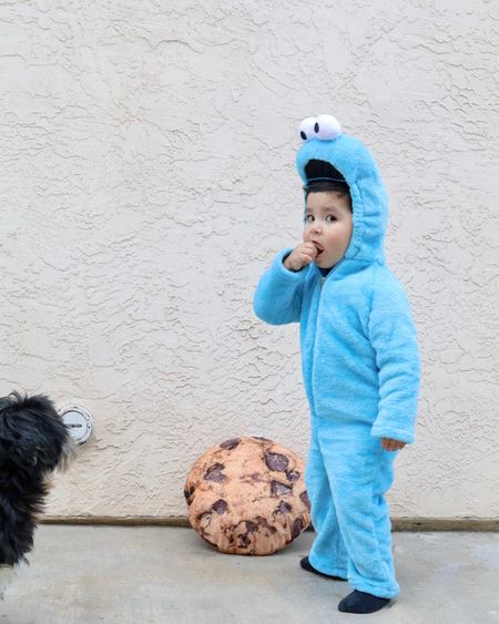 toddler costume idea, cookie monster costume

#LTKfamily #LTKkids #LTKHalloween
