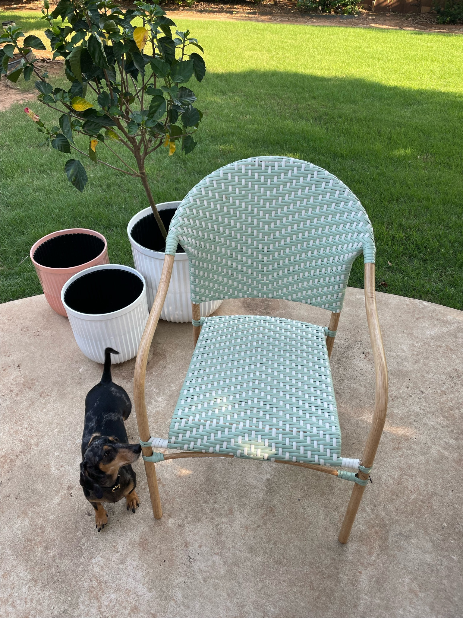 Linked a similar bistro patio chair (old from BBB which is closing) and my affordable planters 

Patio furniture, outdoor furniture, wedding gift, patio, patio seating, porch seating, planters, outdoor planter, Walmart, bistro chair, outdoor seating 

#LTKhome #LTKSeasonal #LTKunder100