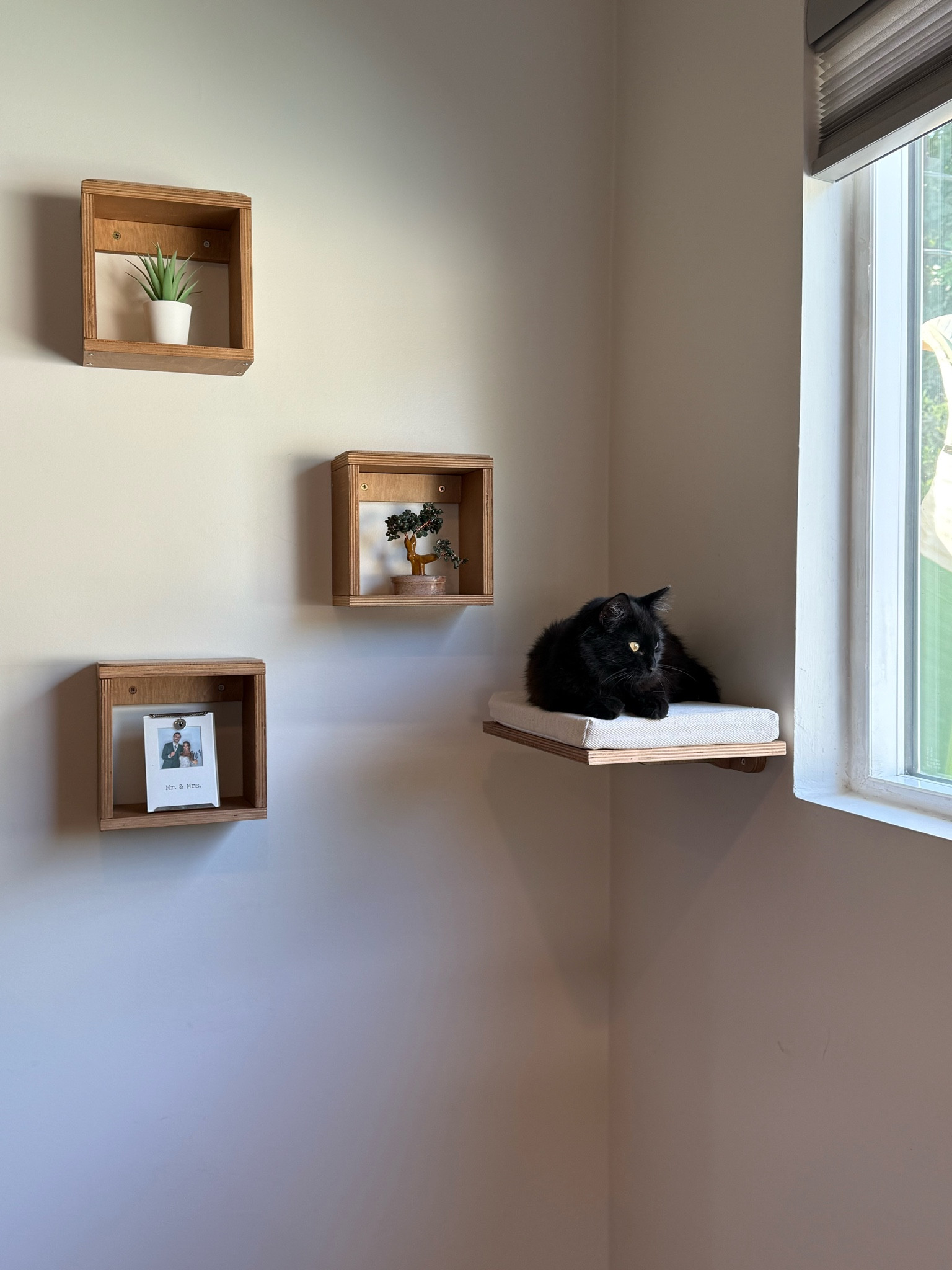 Cute cat decor! 

#LTKFamily #LTKHome #LTKStyleTip