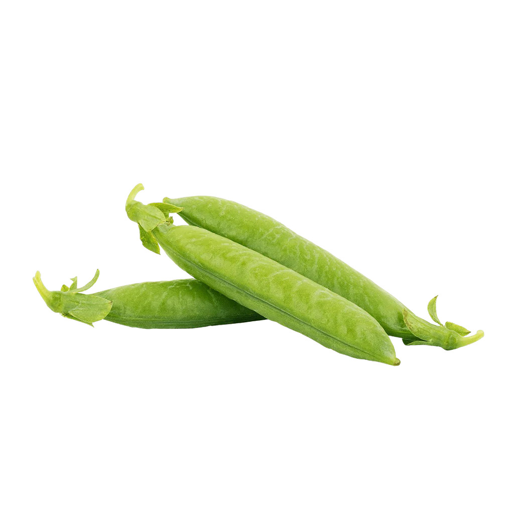 Sugar Sprint Pea | Lettuce Grow