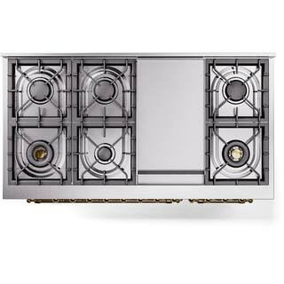 Nostalgie II 48 in. 8-Burner Plus Griddle Double Oven Natural Gas Dual Fuel Range in Graphite Matte with Brass Trim | The Home Depot