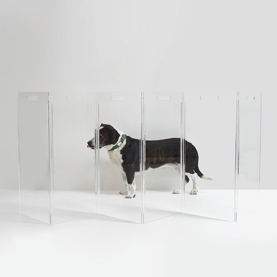 Hiddin Clear Acrylic Dog Gate - High Zig Zag Clear Pet Gate for Home 6 Panels - Sturdy Free-Stand... | Amazon (US)