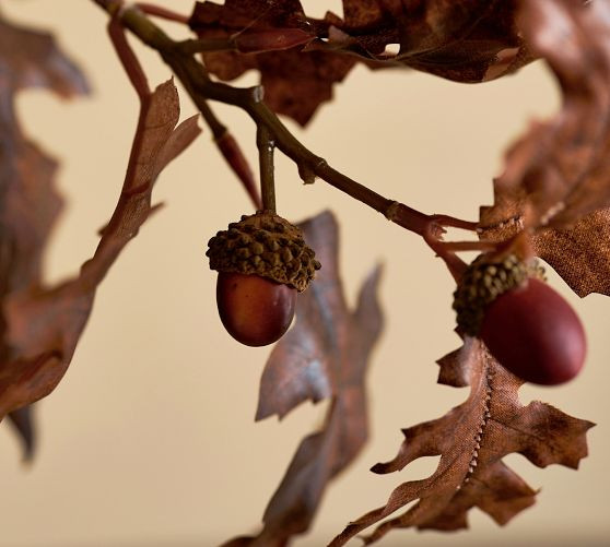 Faux Acorn Oak Branch | Pottery Barn (US)