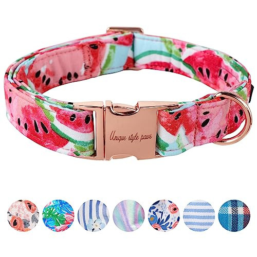 Unique Style Paws Watermelon Collar - Metal Buckle, Durable & Cute for Small, Medium & Large Dogs | Amazon (US)