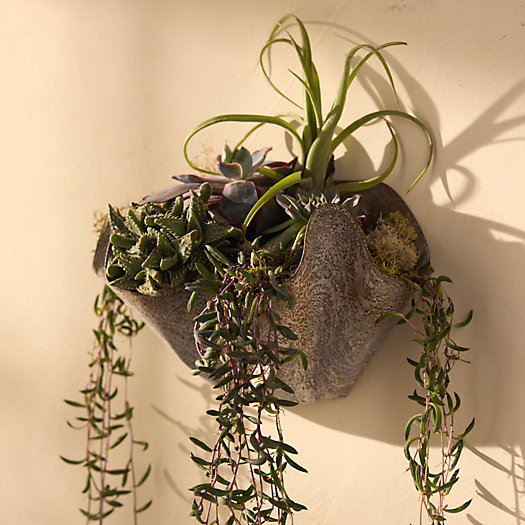 Handkerchief Iron Bowl Planter, 9" | Terrain