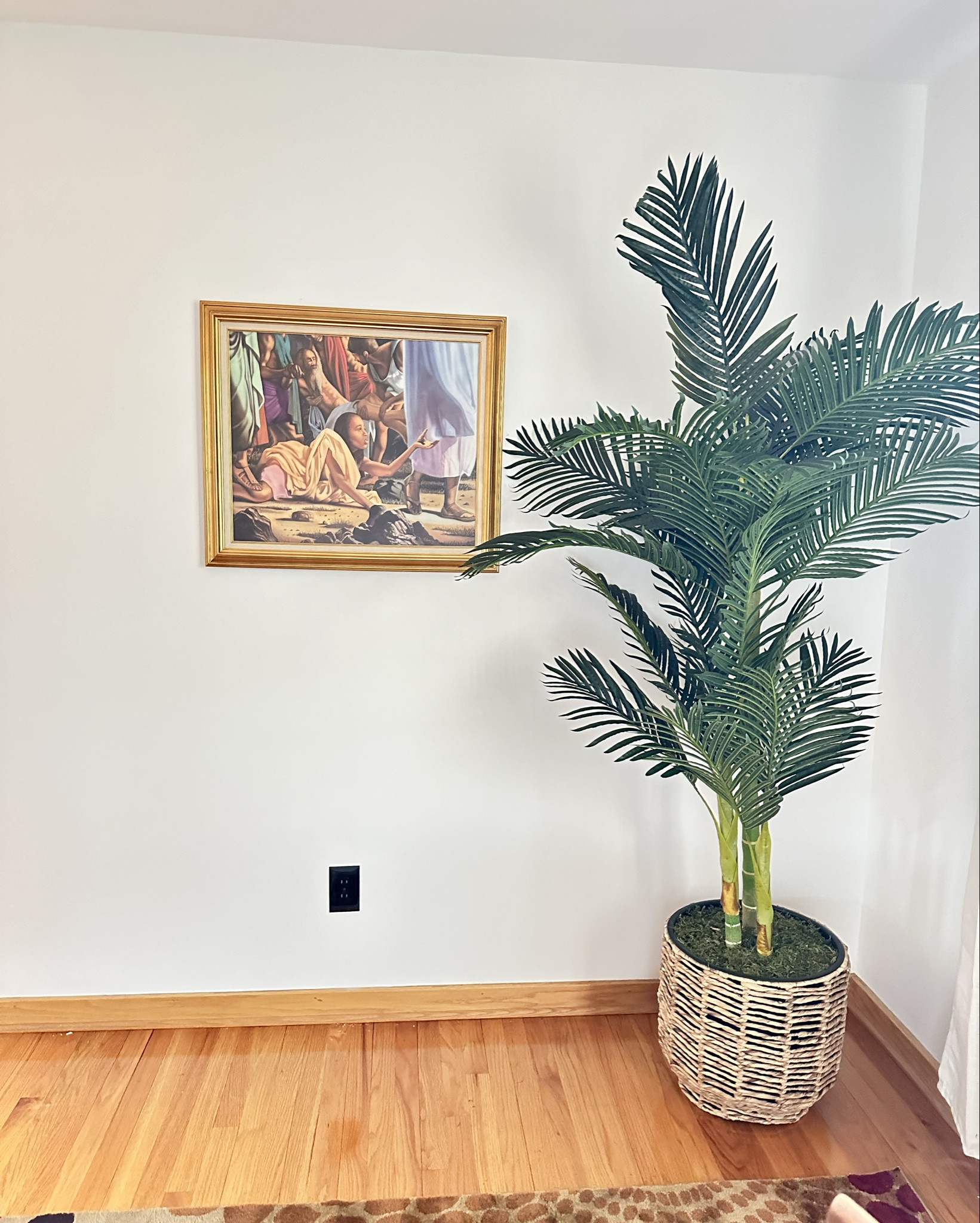 Amazon find! The perfect faux palm 

#LTKHome