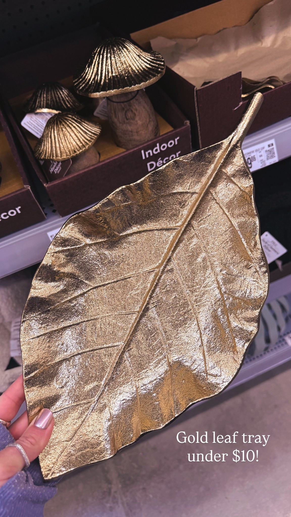 Walmart fall decor, Halloween decor 

#LTKSeasonal #LTKFindsUnder50 #LTKHome