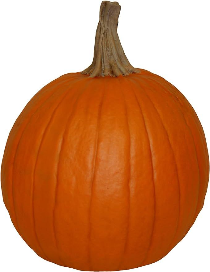 Hickory Manor House Medium Fall Harvest Pumpkin for Home Decor | Amazon (US)