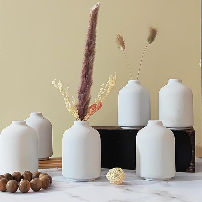 Small White Ceramic Vases Set 6 for Decor, Boho Bud Vases for Dry Flower, 4.1''H x 3''W White Cer... | Amazon (US)