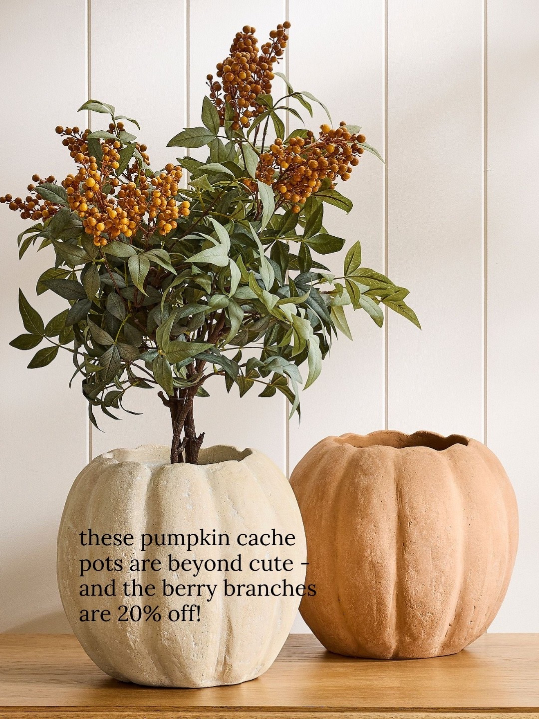 LOVE these pumpkin cache pots!! 
Home decor, fall decor

#LTKSaleAlert #LTKHome