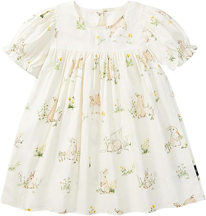 Toddler Baby Girl Easter Rabbit Print Dress Cotton Casual Lantern Long Sleeve Princess Dresses | Amazon (US)