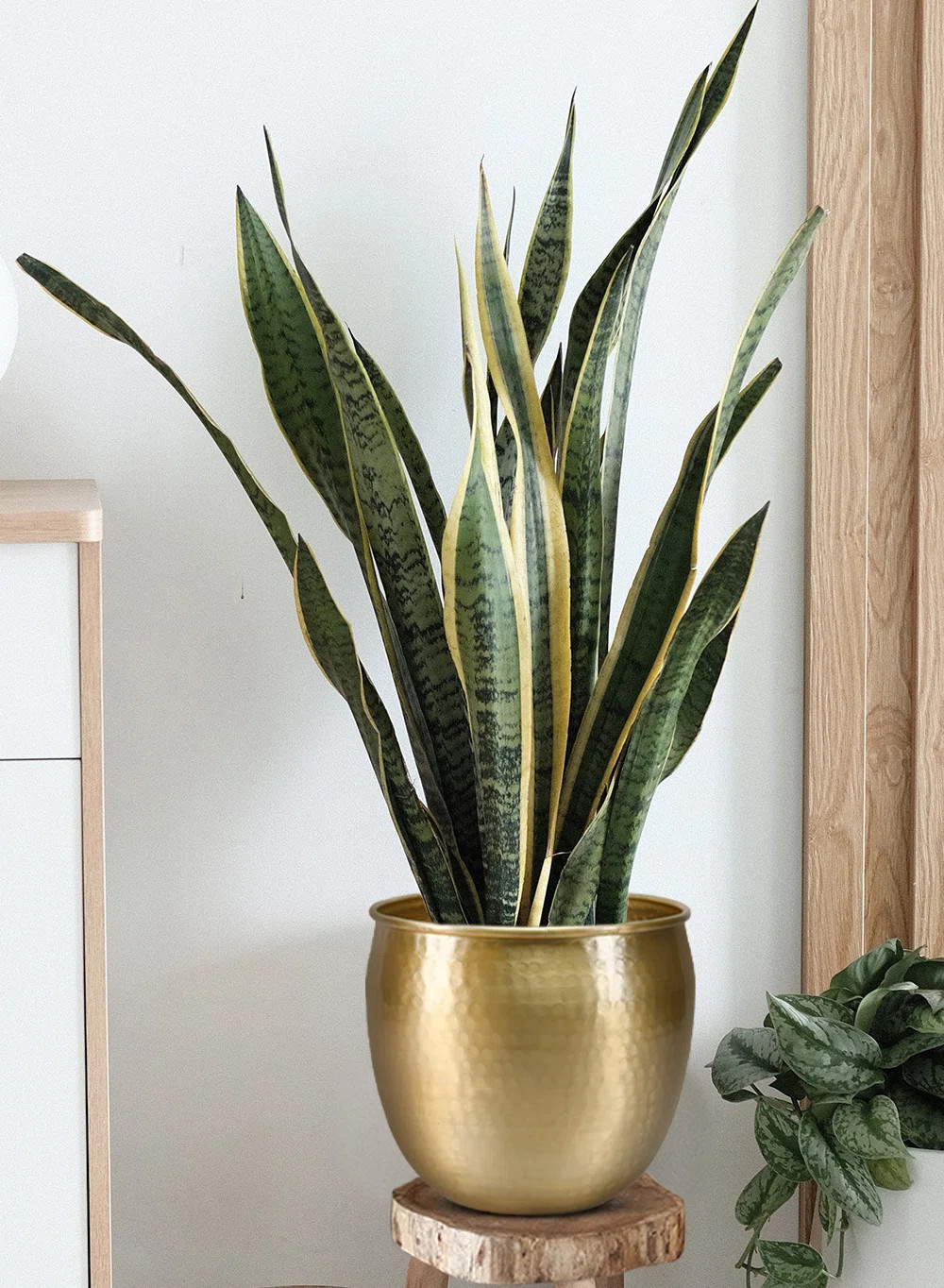 Quanette Metal Pot Planter | Wayfair North America
