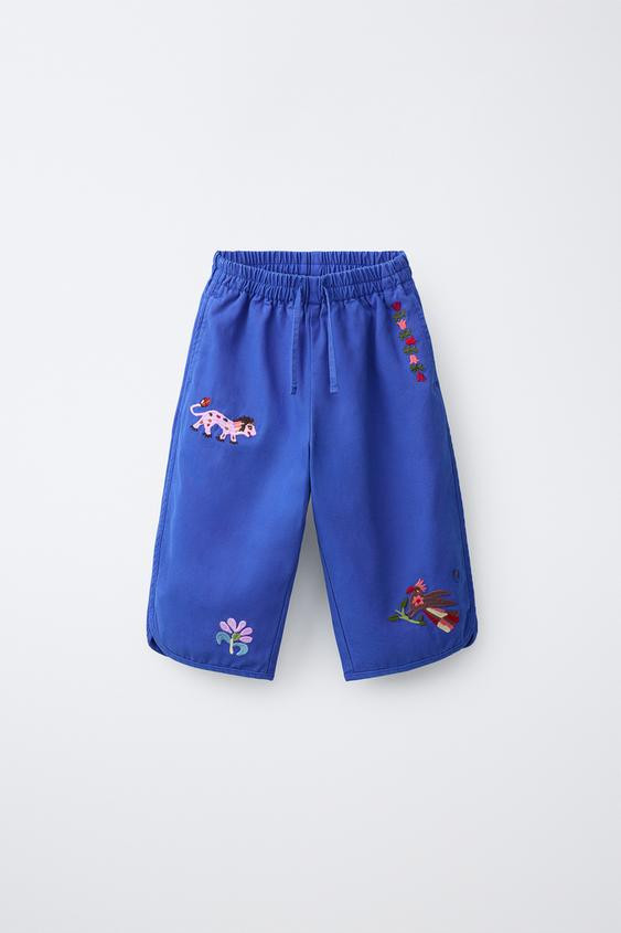 EMBROIDERED BAGGY PANTS SISSEL EDELBO X ZARA KIDS | Zara US
