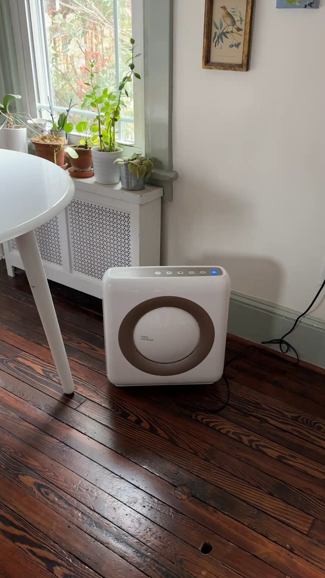 Doubling down on health & wellness this year & I’ve been slowly upgrading my air purifiers & humidifiers (getting a new slow cooker is next so let me know if you have any favorites! Mine is cracked :/)! We have this one on our main floor & I love it! The light changes depending on the air quality & it makes me feel so much better when it’s blue! 

#LTKHome #LTKFamily #LTKWatchNow