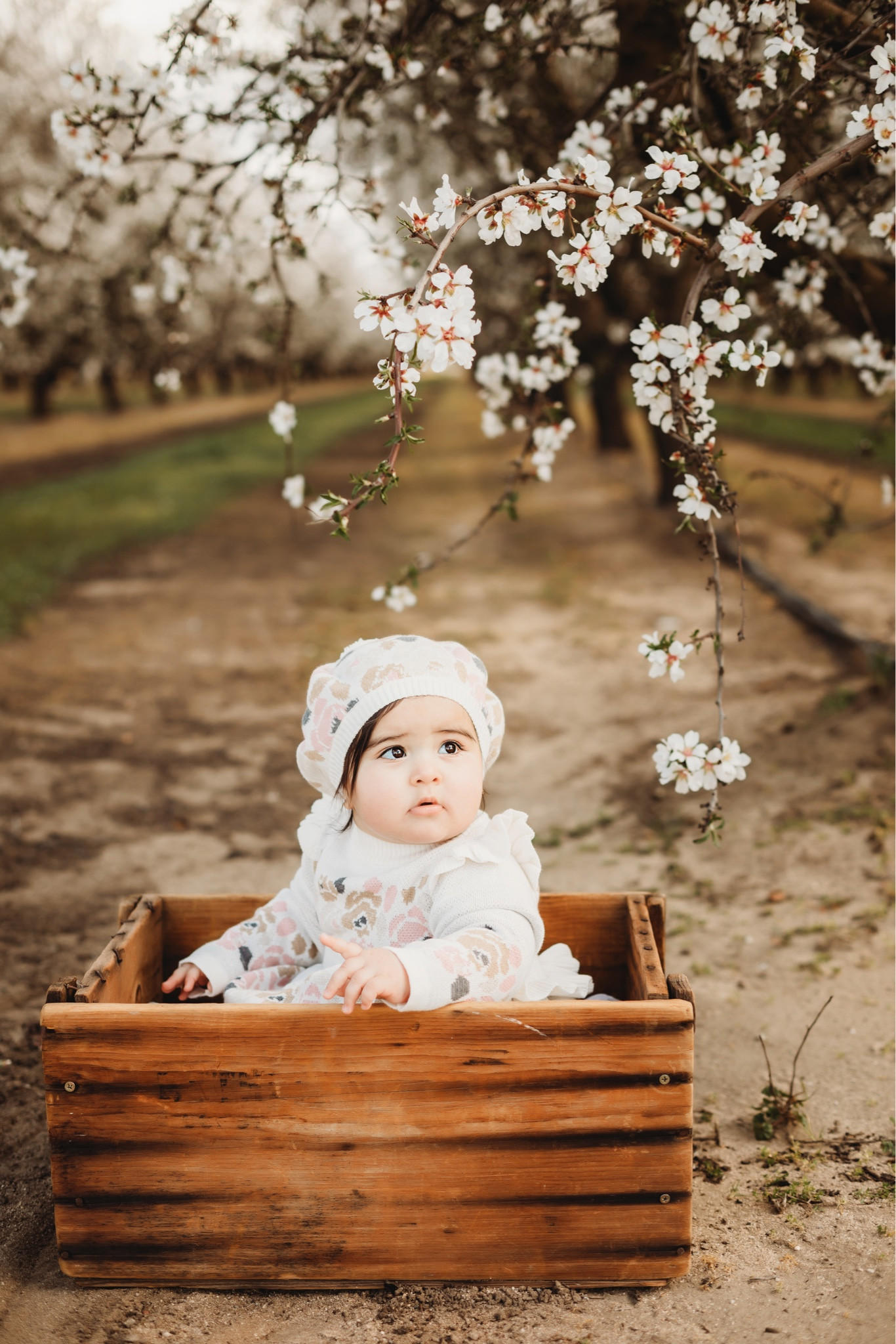 In the most beautiful floral sweater dress surrounded by gorgeous blossoms 

#LTKFind #LTKbaby #LTKSeasonal