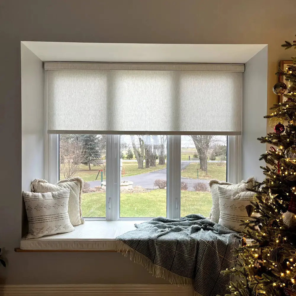 Alvin Motorized Sheer Light Filtering Roller Shade | TWOPAGES