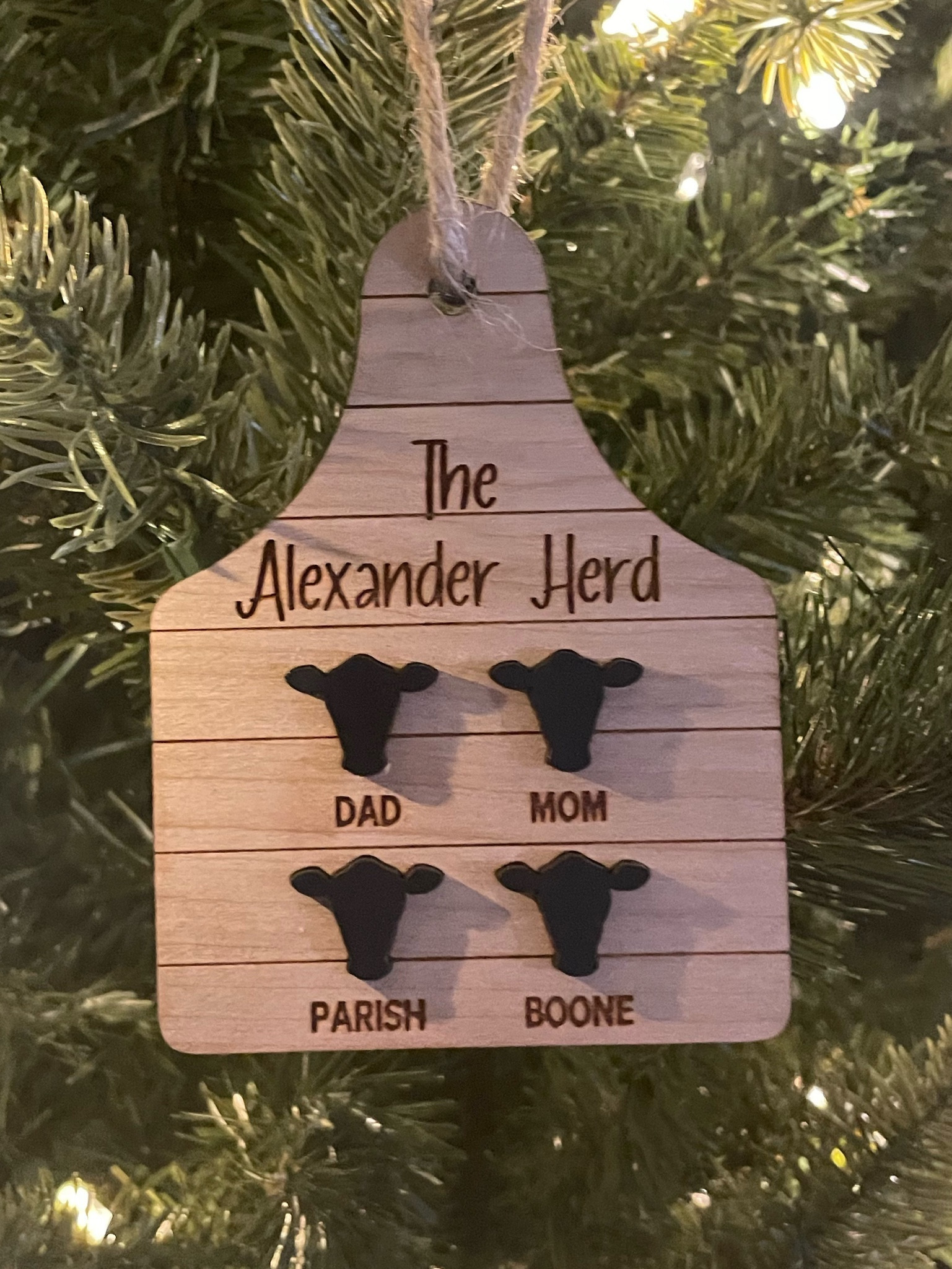Family ornament 

#LTKHoliday #LTKGiftGuide