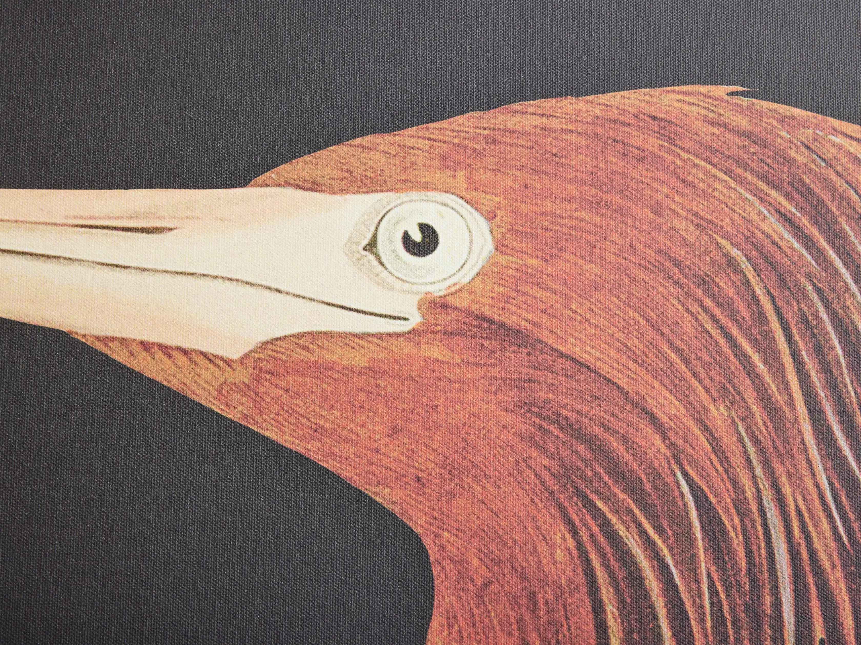 Audubon Duo Framed Print | Arhaus