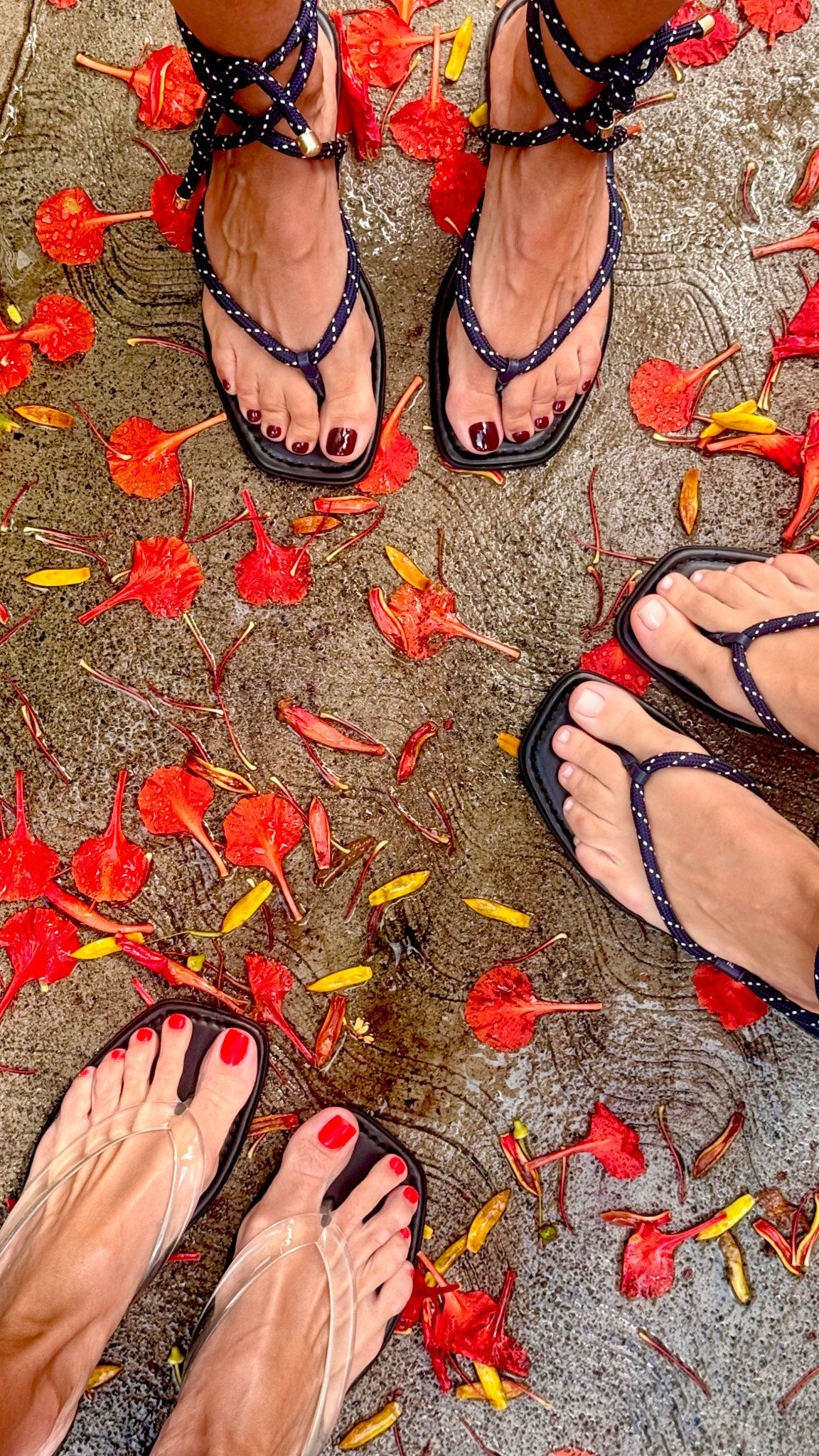 @veronicabeard nailed it with their summer sandals this year! 

#LTKTravel #LTKShoeCrush #LTKSwim