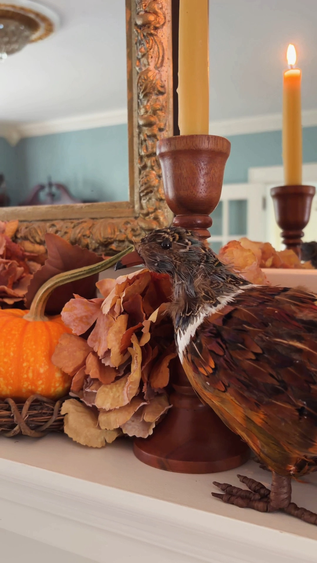 At Belle Antiquarian we think a few thoughtful touches are better than a complete room overhaul each season. 

Reimagine your everyday decor with a few fresh fall finds.
Follow @belleantiquarian for more lifestyle inspiration. 

BelleAntiquarian.com.
