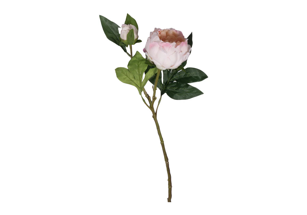 PEONY STEM | WHITE & PINK | Alice Lane Home Collection