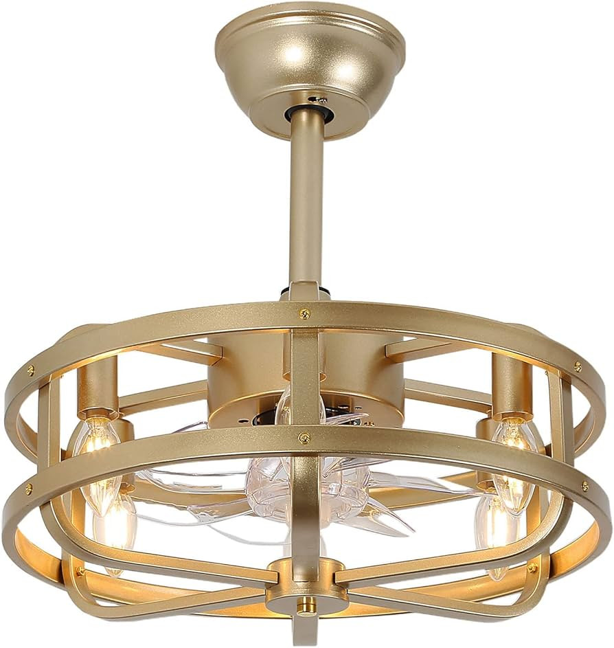SMLERAY Caged Ceiling Fans with Lights,18'' Gold Bladeless Ceiling Fan with Remote Control,6 Spee... | Amazon (US)