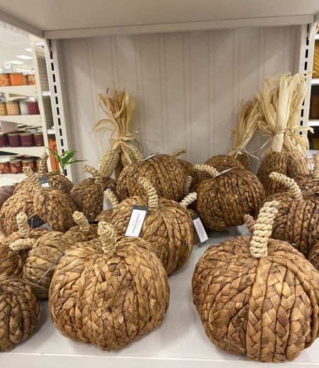Love these wicker pumpkins at target. Great for a more neutral fall decor 

#LTKSeasonal #LTKhome