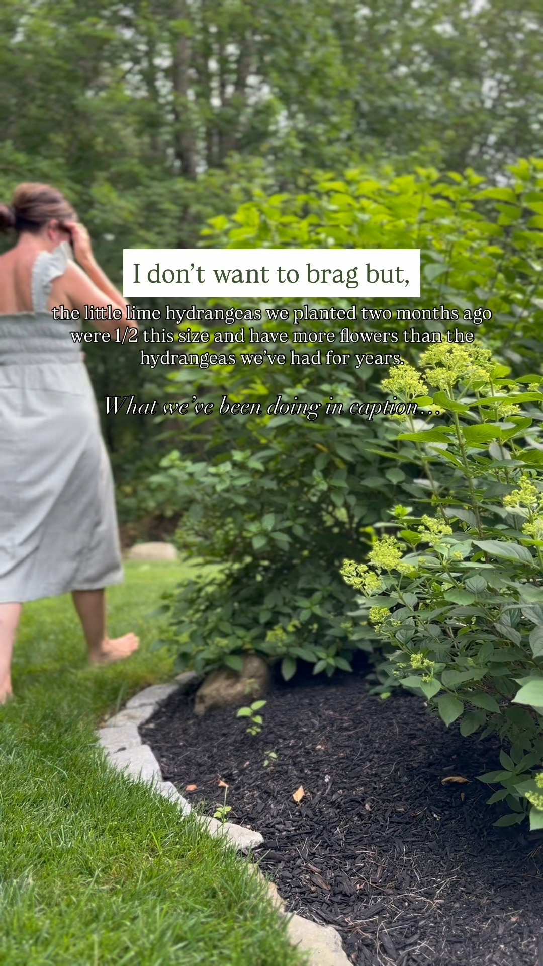 Sharing the fertilizer we’ve been using to keep our new little lime hydrangeas happy. 

#LTKHome #LTKFindsUnder50 #LTKSeasonal