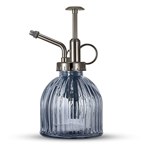 Ebristar Glass Plant Mister Spray Bottle, Succulent Spray Bottle with Top Pump, Glass Plant Sprayer Mister Vintage Spritzer Small Watering Can for Indoor Outdoor Houseplant - Grey | Amazon (US)