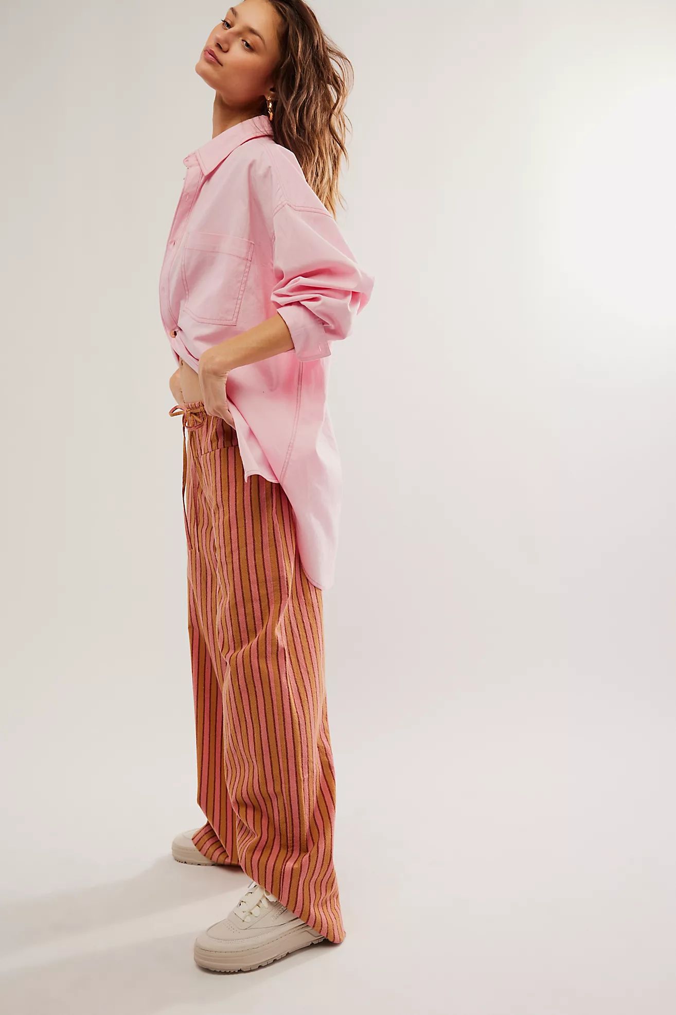 Hudson Canyon Stripe Pants | Free People (Global - UK&FR Excluded)