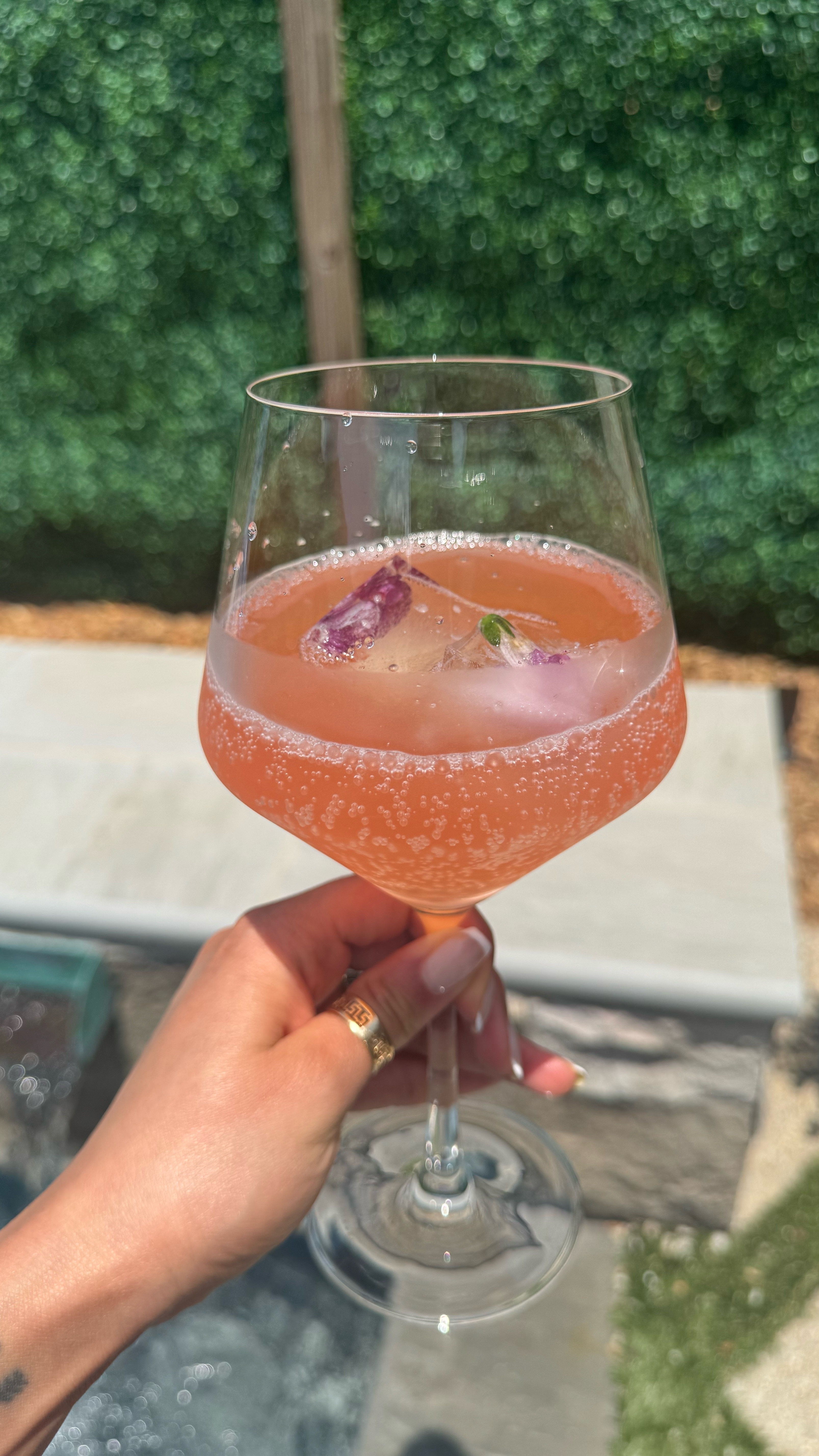 The easiest way to make beautiful drinks this season 🌸 Freeze edible flowers or herbs in ice, and serve with your favorite beverages! 🧉

#LTKU #LTKParties #LTKHome