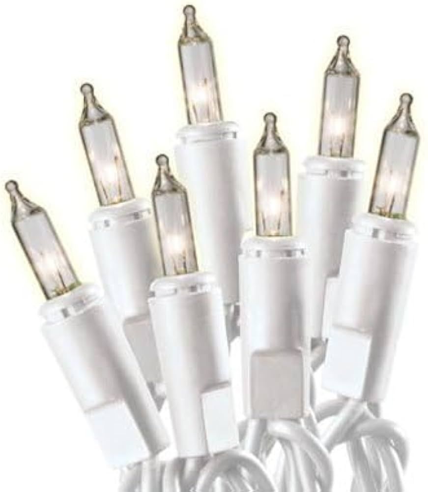 Holiday Pride 20 Clear White Mini Lights White Wire - Mini Craft Christmas Lights - Perfect for W... | Amazon (US)