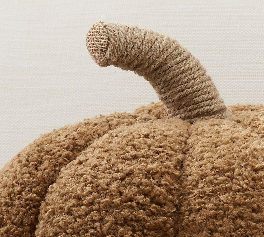 Cozy Pumpkin Pillow | Pottery Barn (US)